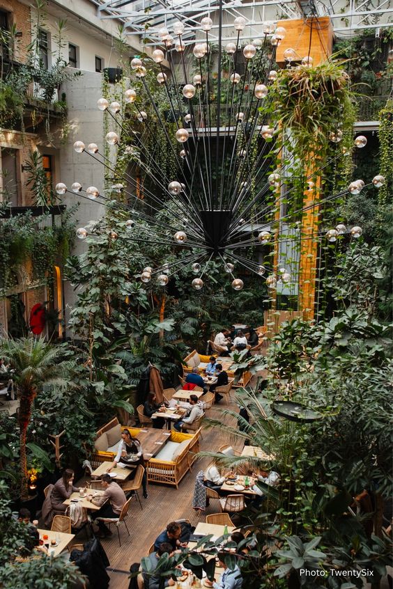 Twentysix°, najzanimljiviji restoran u Budimpešti, je očaravajuće mjesto koje se ističe džungli, zahvaljujući stalnoj temperaturi od 26°C