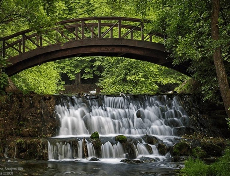 Vrelo Bosne: Izvor prirode i ljepote u Sarajevu