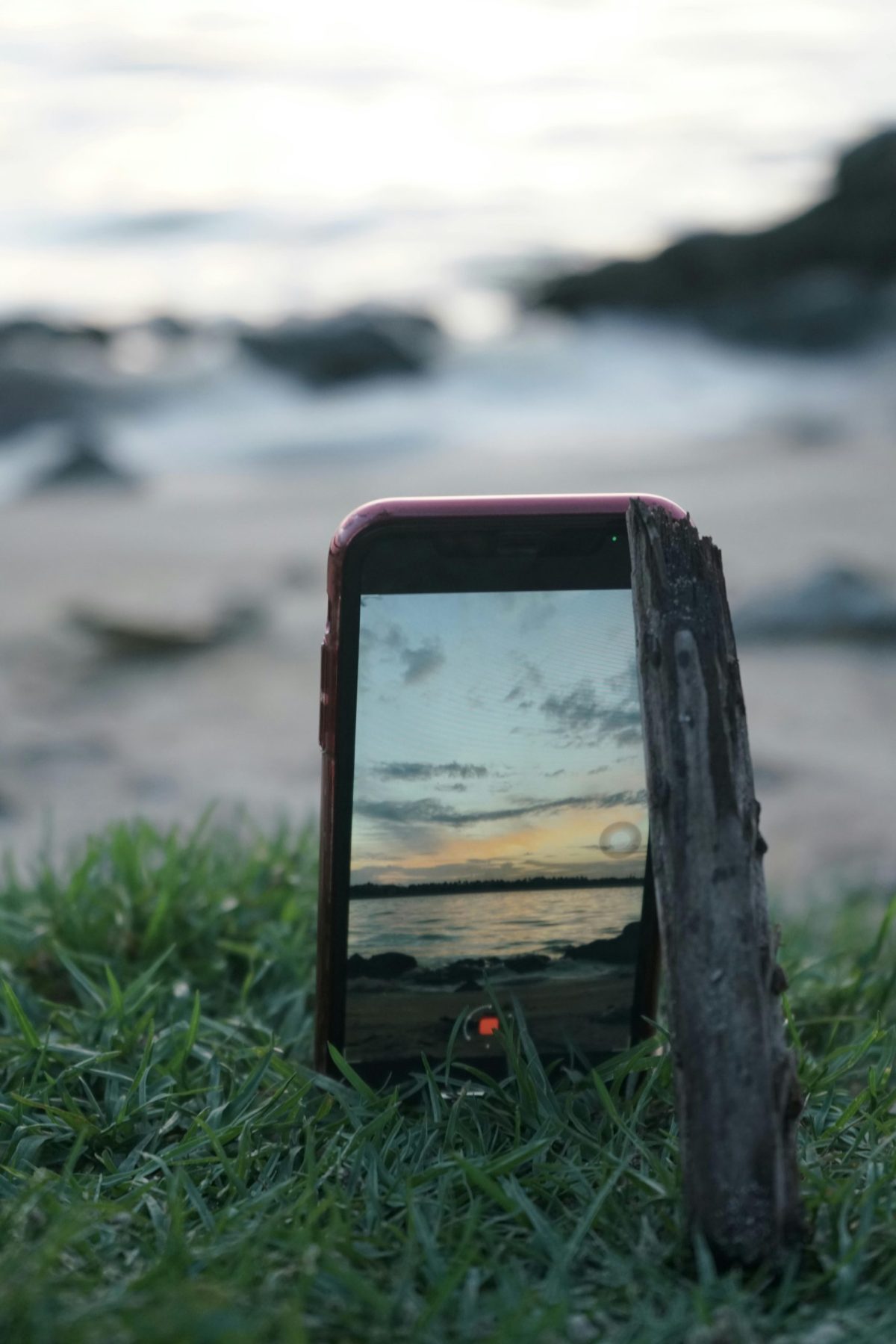 digital detox tokom dana