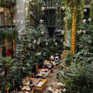 Twentysix°, najzanimljiviji restoran u Budimpešti, je očaravajuće mjesto koje se ističe džungli, zahvaljujući stalnoj temperaturi od 26°C
